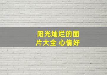 阳光灿烂的图片大全 心情好